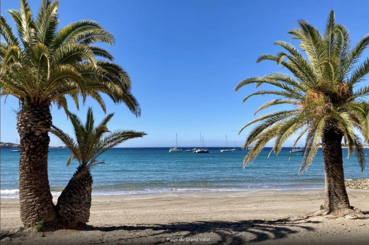 Bandol: Elegant Et Cosy 2 Pieces, Proche Ville Et Plage 外观 照片